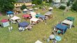 Wollfest 2023