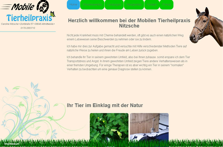 tierheilpraxis web